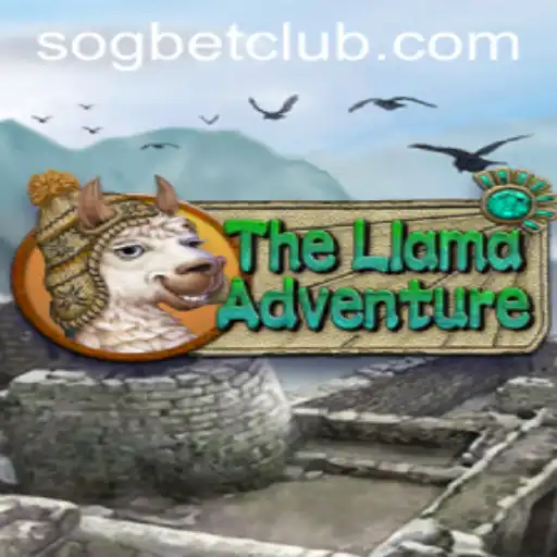 Embark on an Exciting Journey with TheLlamaAdventure and Explore Sogbet Casino's Thrills